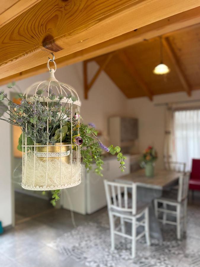 Ibolya Apartman Csisztapuszta Bagian luar foto